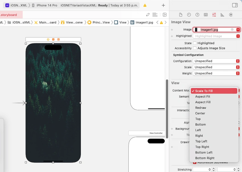 Multiple views and access to XML files with .NET for iOS