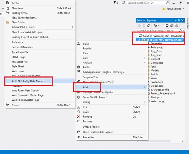 Entity Data Model