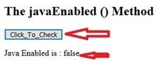 BOM Windows Navigator Object In JavaScript