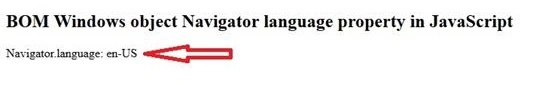 BOM Windows Navigator Object In JavaScript