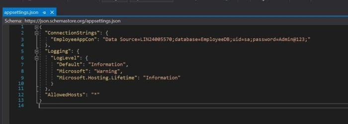 appsettings.json