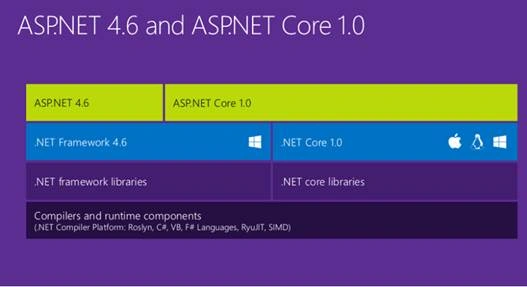 .NET Ecosystem