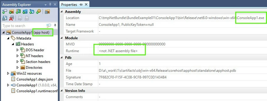 DetPeek decompiler