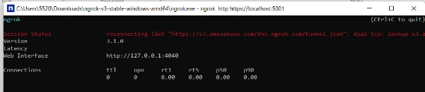 Testing local project with ngrok