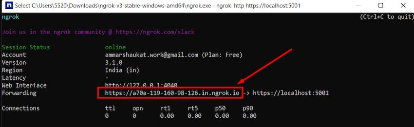Testing local project with ngrok