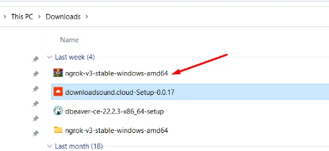 Testing local project with ngrok