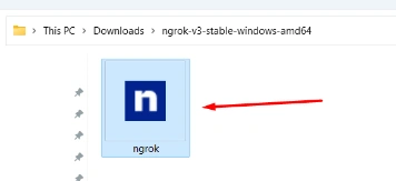 Testing local project with ngrok