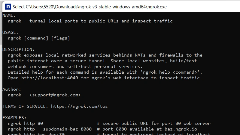 Testing local project with ngrok