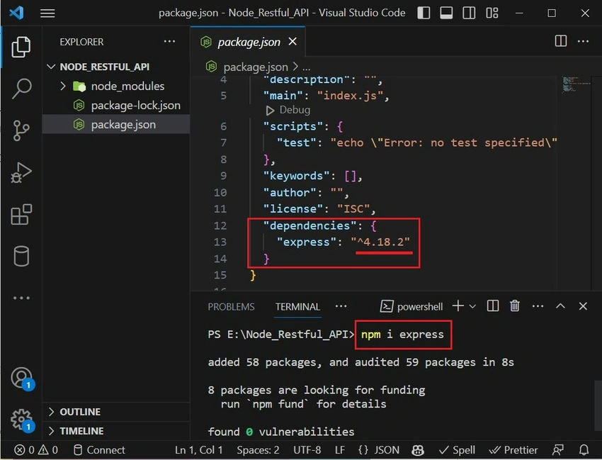 NPM express