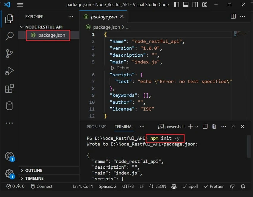 NPM Package