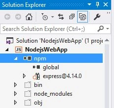 npm