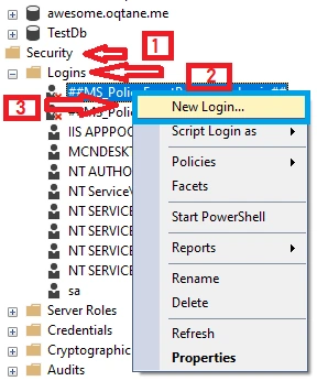 Oqtane Blazor CMS And Configurations
