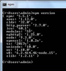 NPM