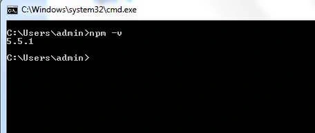 NPM