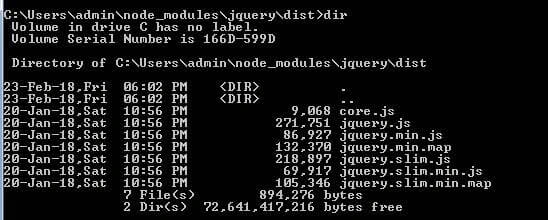 NPM
