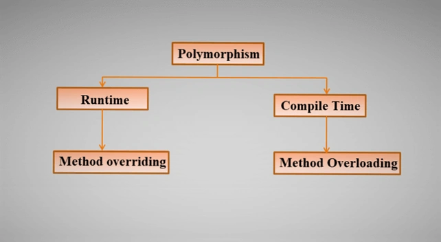 Overview Of Polymorphism In C#