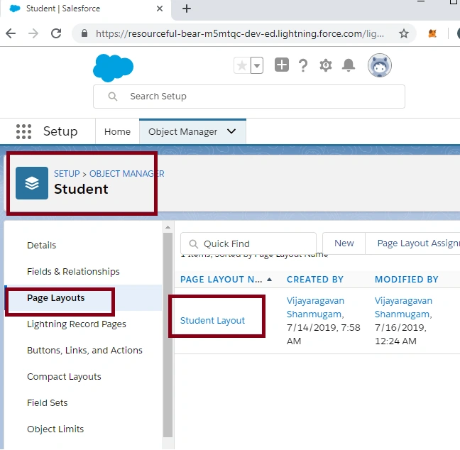 PageLayout In SalesForce