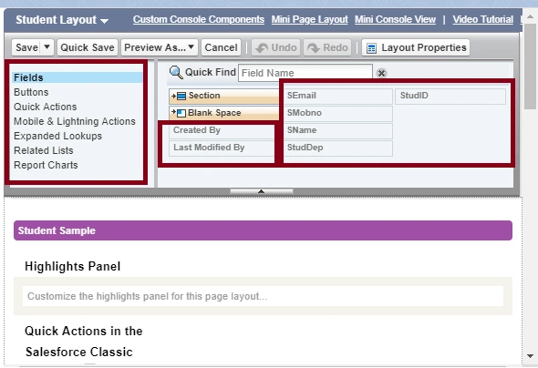 PageLayout In SalesForce