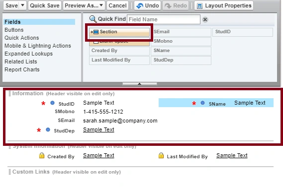 PageLayout In SalesForce