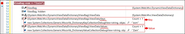 ViewBag executes