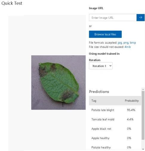 Browse local files