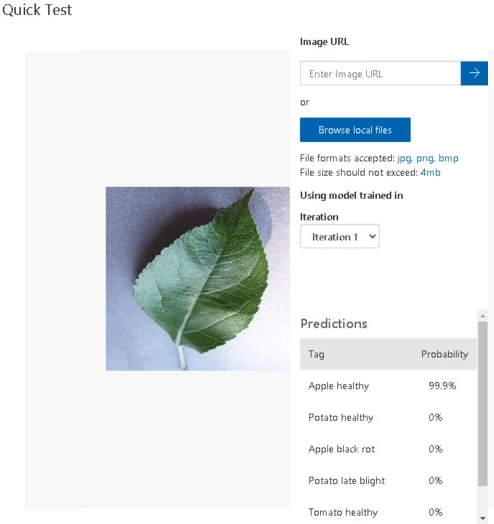 Browse local files