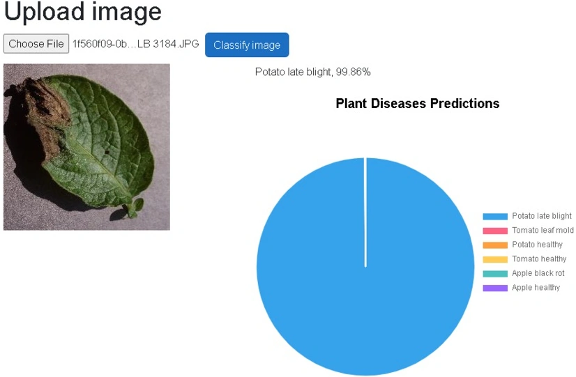 Classify image