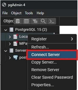 Connect Server