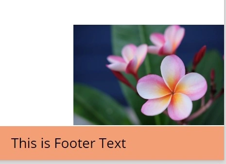 Footer Text