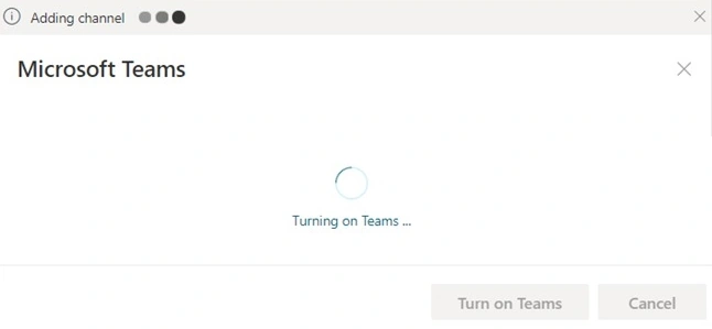 Team settings