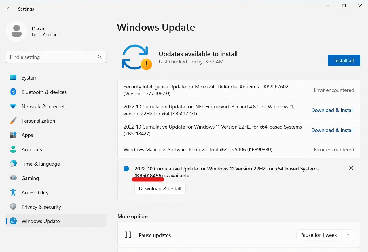 Windows Release Preview build in Windows Update menu.
