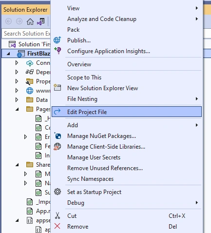 Project Structure Of Blazor In ASP.NET Core