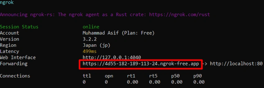 Publish & Deploy .NET 6 Web Application on IIS and Access it through Internet using Ngrok