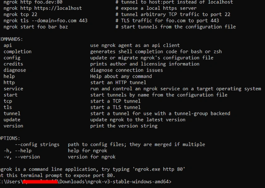 Publish & Deploy .NET 6 Web Application on IIS and Access it through Internet using Ngrok