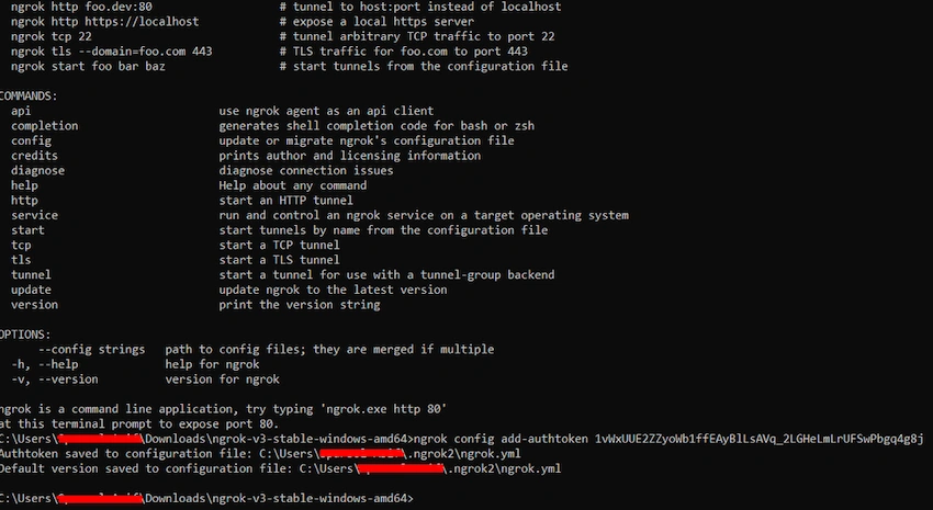 Publish & Deploy .NET 6 Web Application on IIS and Access it through Internet using Ngrok