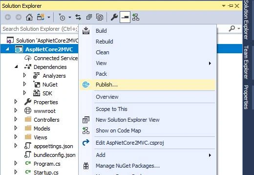 Publish option
