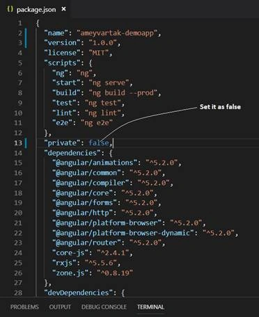 package.json file