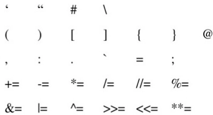 Python punctuators