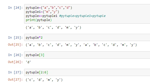 Python🐍 Datatypes