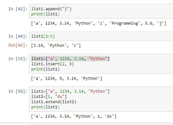 Python🐍 Datatypes