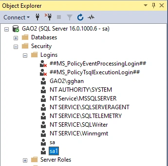 SQL Server Installation