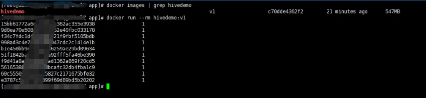 Query Apache Hive With C# And ODBC