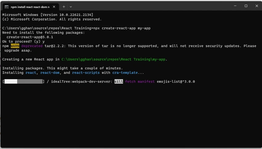 NPM Install