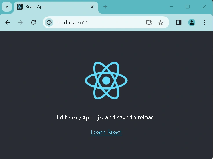 npm start