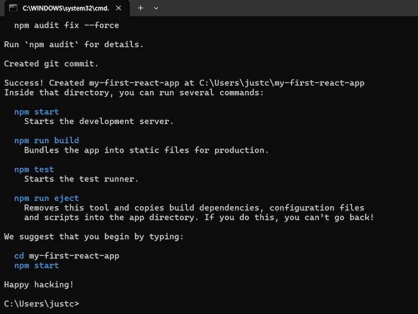npm audit