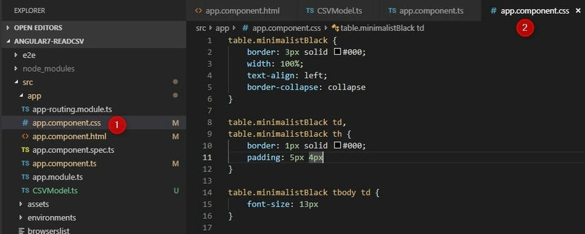  CSS