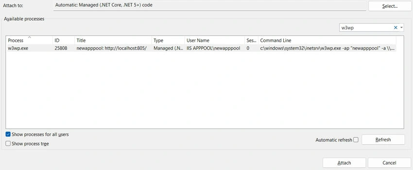 Remote Debugging ASP.NET Core