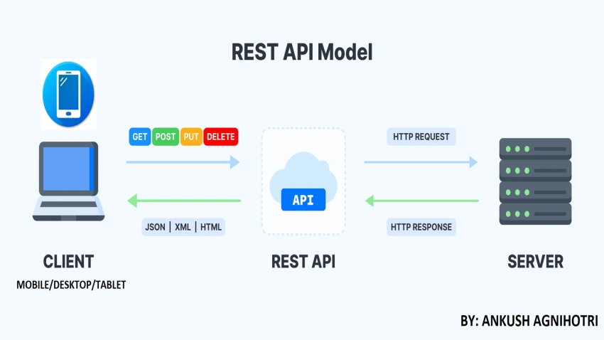 Restful Api In dotnet Core Using Ef Core And Postgres