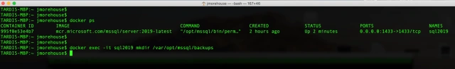 Restoring A SQL Server Database In Docker
