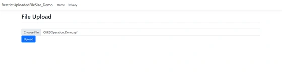 File upload